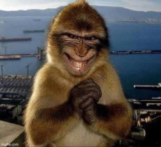 I be plotting | made w/ Imgflip meme maker