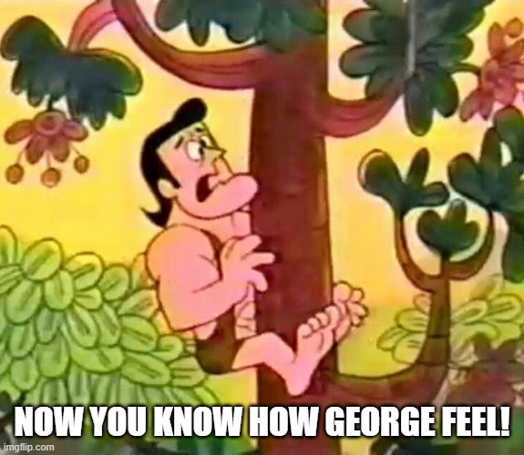 NOW YOU KNOW HOW GEORGE FEEL! | made w/ Imgflip meme maker