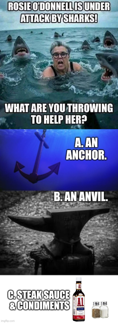 Help Rosie now! | C. STEAK SAUCE 
& CONDIMENTS | image tagged in sharks,rosie o'donnell,animal rescue | made w/ Imgflip meme maker