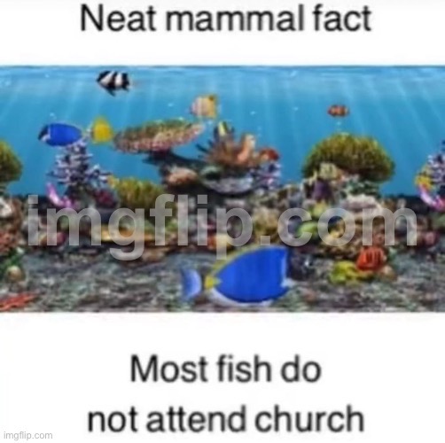 Wow guys I did not know this | made w/ Imgflip meme maker