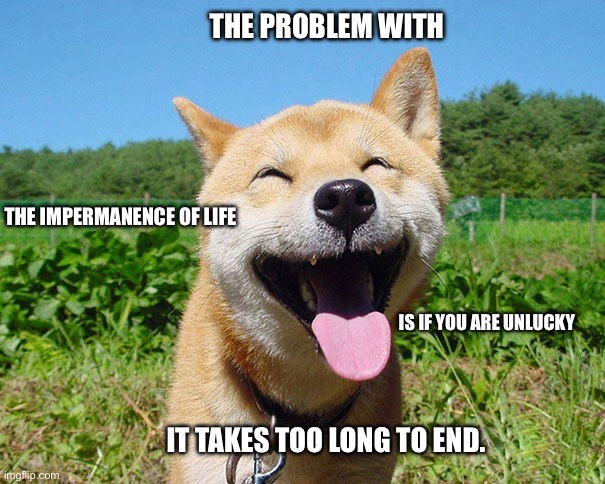 Nihilistic Animals #3 | THE PROBLEM WITH; THE IMPERMANENCE OF LIFE; IS IF YOU ARE UNLUCKY; IT TAKES TOO LONG TO END. | image tagged in funny animals,nihilism | made w/ Imgflip meme maker