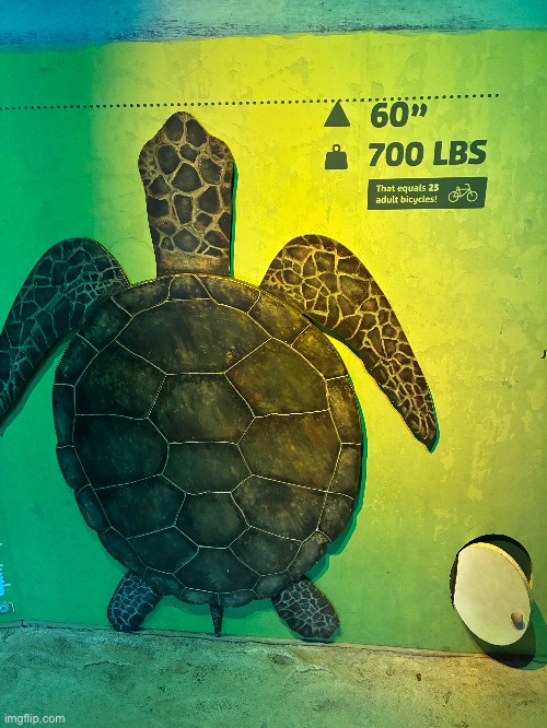 Anything but the metric <\3 | made w/ Imgflip meme maker