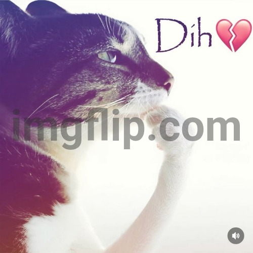 Dih | image tagged in dih | made w/ Imgflip meme maker