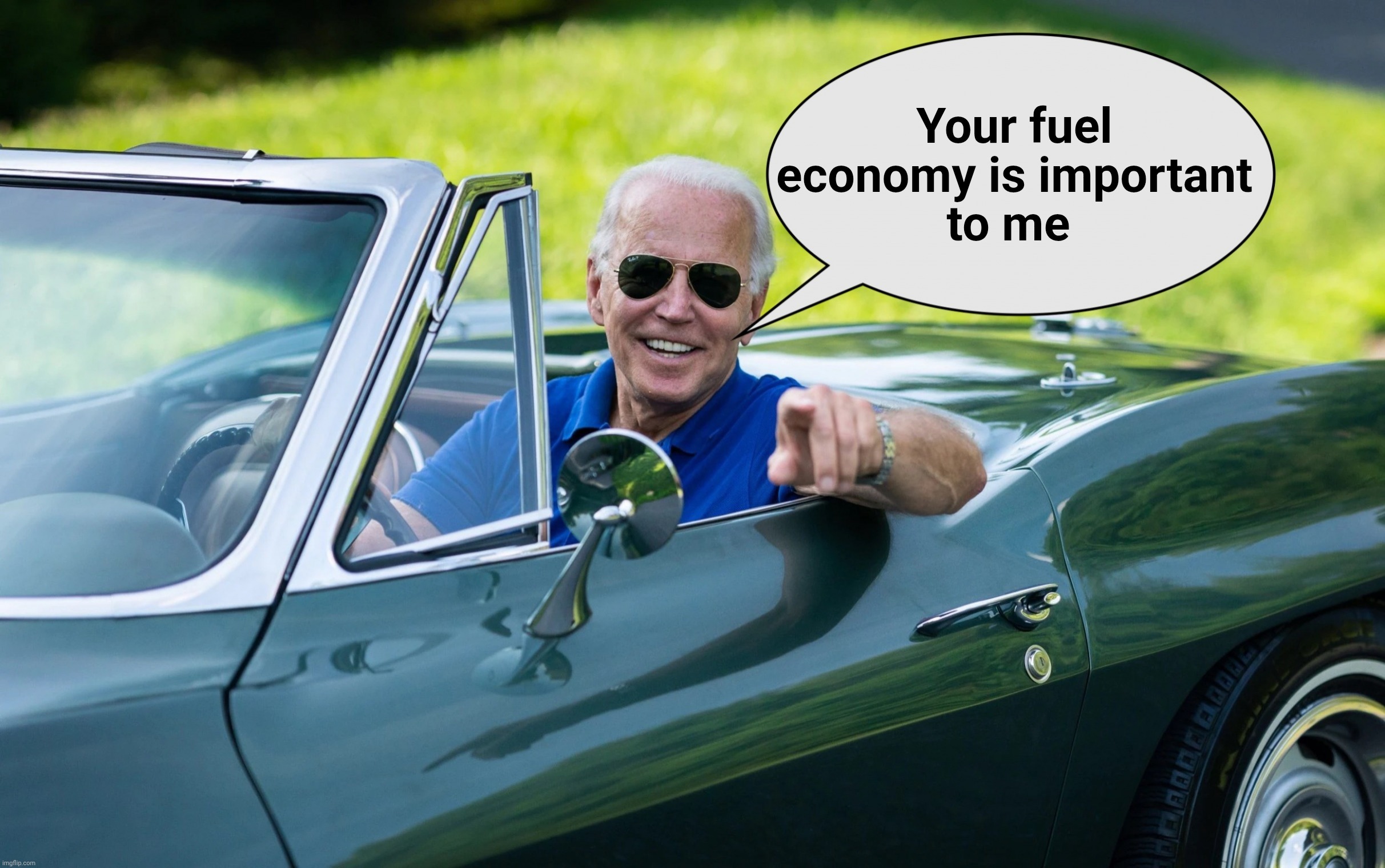 Get In Loser | Your fuel
economy is important
to me | image tagged in get in loser | made w/ Imgflip meme maker