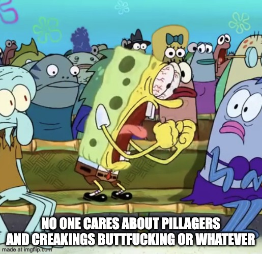 Spongebob Yelling | NO ONE CARES ABOUT PILLAGERS AND CREAKINGS BUTTFUCKING OR WHATEVER | image tagged in spongebob yelling | made w/ Imgflip meme maker
