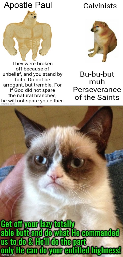 Get off your entitled butts | Apostle Paul; Get off your lazy totally able butt and do what He commanded us to do & He'll do the part only He can do your entitled highness! | image tagged in grumpy cat,calvinism,calvinist memes,entitlement,anti calvinism,reformed theology | made w/ Imgflip meme maker