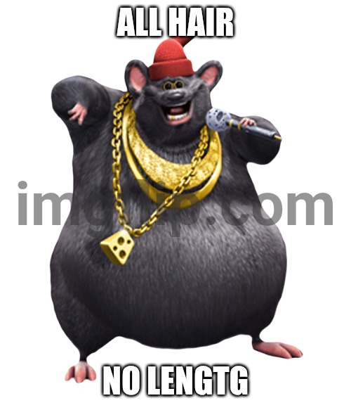 Biggie Cheese | ALL HAIR; NO LENGTG | image tagged in biggie cheese | made w/ Imgflip meme maker