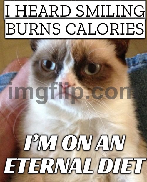 I HEARD SMILING BURNS CALORIES | I HEARD SMILING BURNS CALORIES; I’M ON AN ETERNAL DIET | image tagged in memes,grumpy cat,dieting,diet,laughter,calories | made w/ Imgflip meme maker