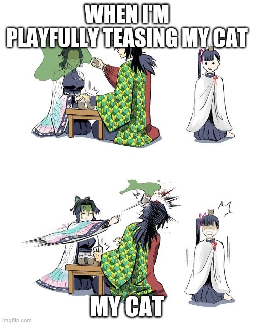 Shinobu vs Giyuu Demon Slayer | WHEN I'M PLAYFULLY TEASING MY CAT; MY CAT | image tagged in shinobu vs giyuu demon slayer | made w/ Imgflip meme maker