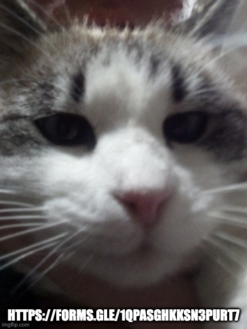 Sour Hart announcement template | HTTPS://FORMS.GLE/1QPASGHKKSN3PURT7 | image tagged in sour hart announcement template | made w/ Imgflip meme maker