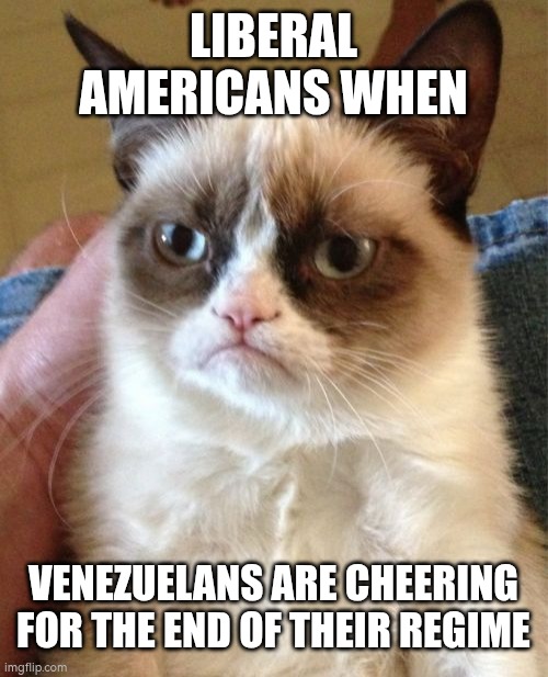 Mind yo business | LIBERAL AMERICANS WHEN; VENEZUELANS ARE CHEERING FOR THE END OF THEIR REGIME | image tagged in memes,grumpy cat,venezuela,capitalism,communism | made w/ Imgflip meme maker