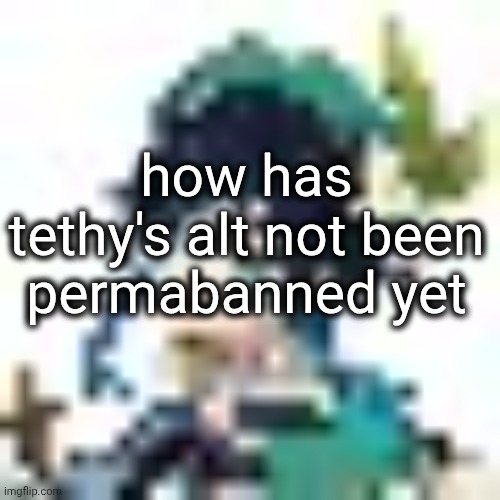 tiny venti | how has tethy's alt not been permabanned yet | image tagged in tiny venti | made w/ Imgflip meme maker
