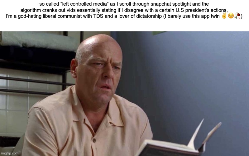 Constructive criticism is non-existent in this stream yo | so called "left controlled media" as I scroll through snapchat spotlight and the algorithm cranks out vids essentially stating if I disagree with a certain U.S president's actions, I'm a god-hating liberal communist with TDS and a lover of dictatorship (I barely use this app twin ✌️🫩🥀) | image tagged in hank schrader toilet | made w/ Imgflip meme maker
