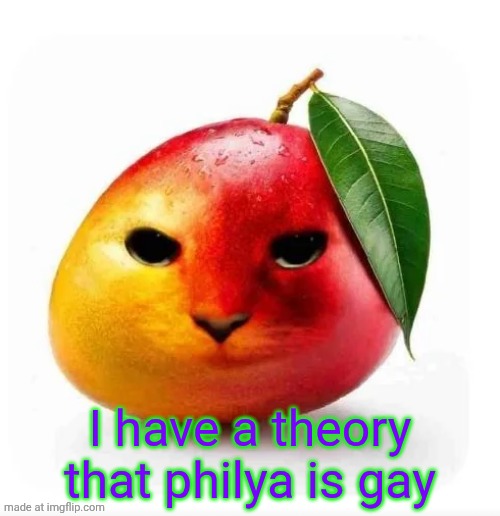 Cat mango | I have a theory that philya is gay | image tagged in cat mango | made w/ Imgflip meme maker