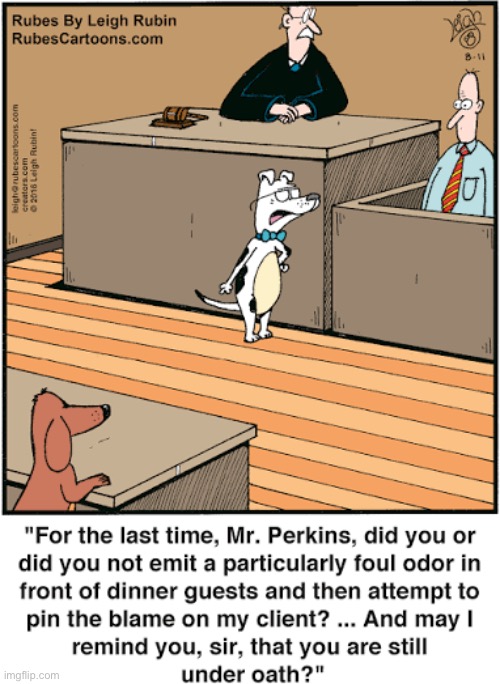 Rubes | image tagged in comics,rubes,courtroom,dogs,framed,fart | made w/ Imgflip meme maker
