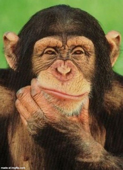 Thinking monkey  | image tagged in thinking monkey | made w/ Imgflip meme maker