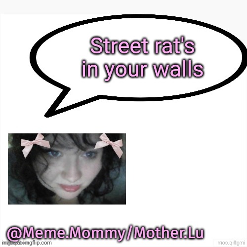 meme mommy temp by my fav drizzy | Street rat's in your walls | image tagged in meme mommy temp by my fav drizzy | made w/ Imgflip meme maker