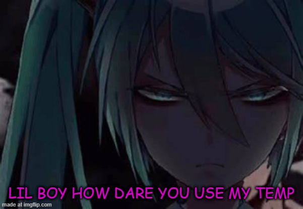@street rat | LIL BOY HOW DARE YOU USE MY TEMP | image tagged in mad miku 3 | made w/ Imgflip meme maker