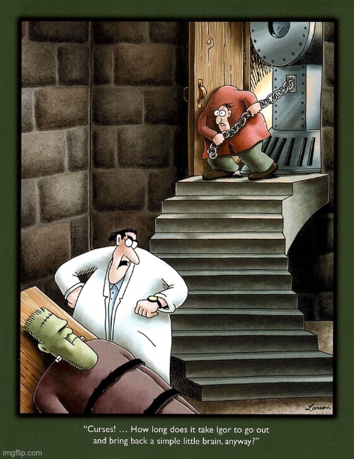 He said “brain”, not “train”, you dolt! | image tagged in the far side,comics | made w/ Imgflip meme maker