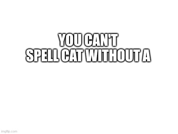 YOU CAN'T SPELL CAT WITHOUT A | made w/ Imgflip meme maker