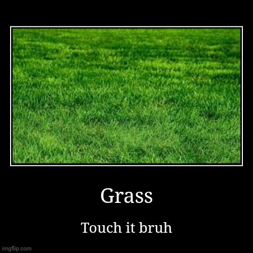 This is what we all should do | Grass | Touch it bruh | image tagged in funny,demotivationals | made w/ Imgflip demotivational maker