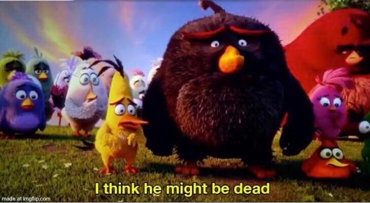 I think he might be dead | image tagged in i think he might be dead | made w/ Imgflip meme maker