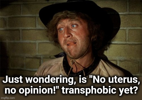 Inquiring minds want to know | Just wondering, is "No uterus,
no opinion!" transphobic yet? | image tagged in gene wilder,no uterus no opinion,democrats,abortion,transphobic,memes | made w/ Imgflip meme maker