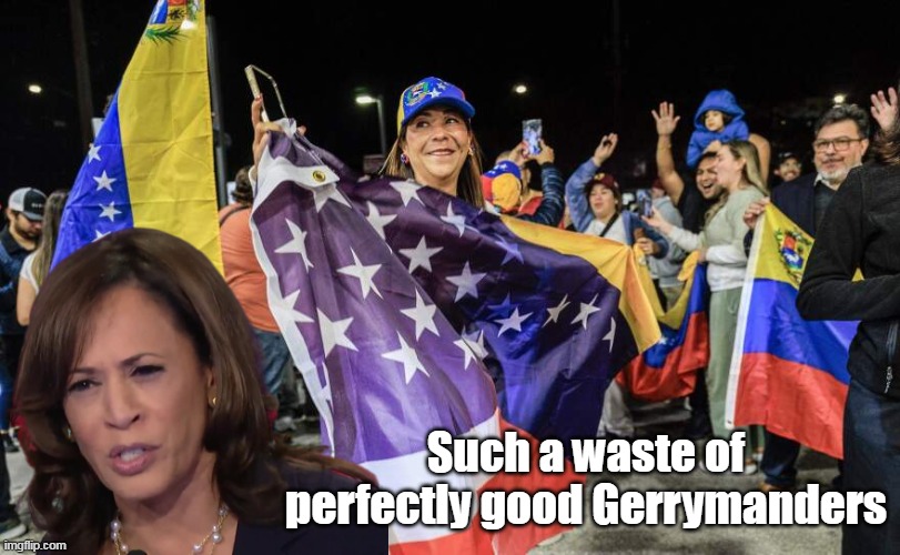 Such a waste of perfectly good Gerrymanders | made w/ Imgflip meme maker