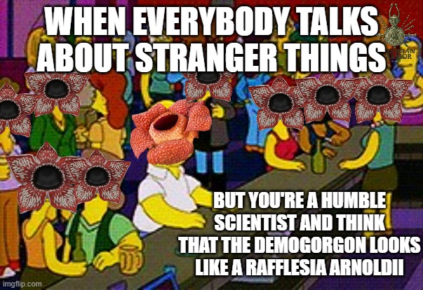 Stranger things,Demogorgon | WHEN EVERYBODY TALKS ABOUT STRANGER THINGS; BUT YOU'RE A HUMBLE SCIENTIST AND THINK THAT THE DEMOGORGON LOOKS LIKE A RAFFLESIA ARNOLDII | image tagged in homer bar,demogorgon,stranger things | made w/ Imgflip meme maker