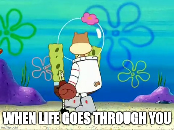 when life goes through you | WHEN LIFE GOES THROUGH YOU | image tagged in spongebob,spongebob squarepants,memes | made w/ Imgflip meme maker