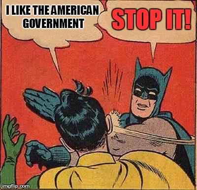 Batman Slapping Robin | I LIKE THE AMERICAN GOVERNMENT STOP IT! | image tagged in memes,batman slapping robin | made w/ Imgflip meme maker