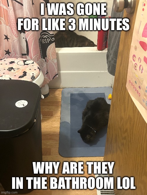 lol | I WAS GONE FOR LIKE 3 MINUTES; WHY ARE THEY IN THE BATHROOM LOL | made w/ Imgflip meme maker
