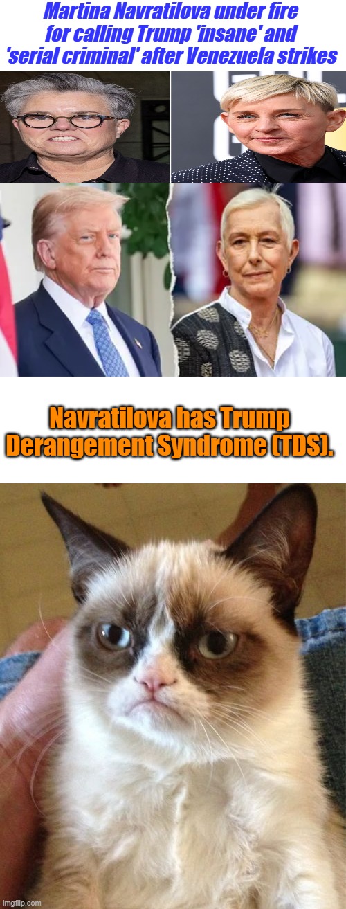 And the common denominator ' IS ' | Martina Navratilova under fire for calling Trump 'insane' and 'serial criminal' after Venezuela strikes; Navratilova has Trump Derangement Syndrome (TDS). | image tagged in memes,grumpy cat | made w/ Imgflip meme maker