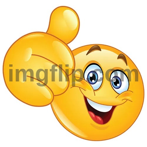 Thumbs up bitches | image tagged in thumbs up bitches | made w/ Imgflip meme maker