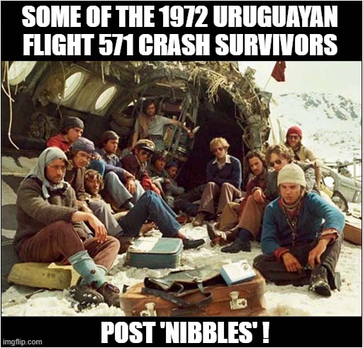 If You Know, You Know ! | SOME OF THE 1972 URUGUAYAN FLIGHT 571 CRASH SURVIVORS; POST 'NIBBLES' ! | image tagged in plane crash,cannibalism | made w/ Imgflip meme maker