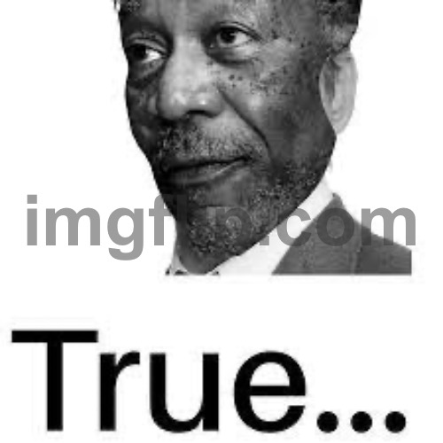 Morgan Freeman True | image tagged in morgan freeman true | made w/ Imgflip meme maker