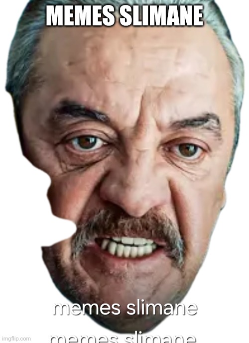 Memes slimane | MEMES SLIMANE | image tagged in memes slimane | made w/ Imgflip meme maker