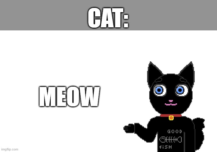 meow | CAT:; MEOW | image tagged in cat | made w/ Imgflip meme maker