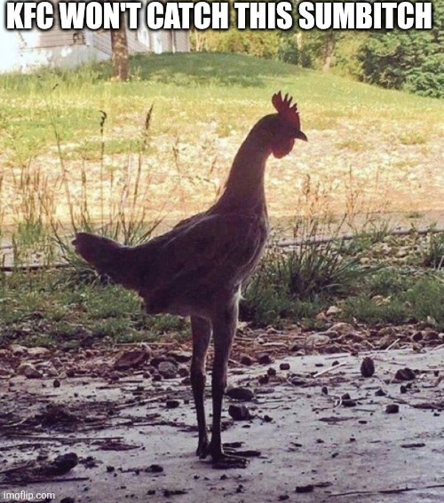 KFC Won't Catch This Sumbitch | KFC WON'T CATCH THIS SUMBITCH | image tagged in chrisjoines1 | made w/ Imgflip meme maker