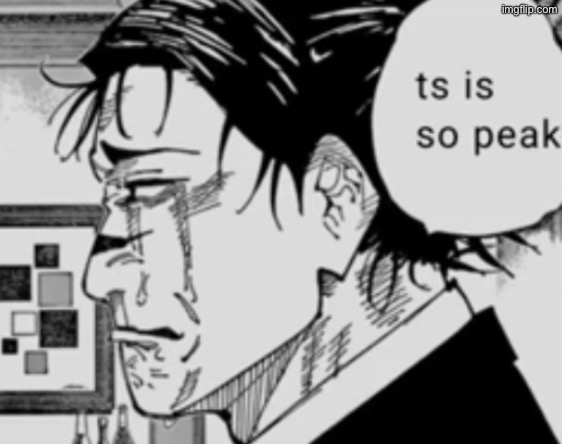 Ts is so peak | image tagged in ts is so peak | made w/ Imgflip meme maker