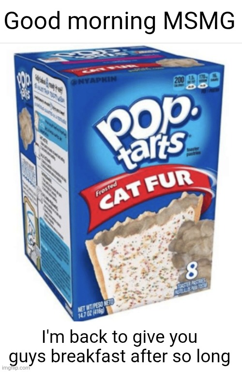 Who here remember the daily pop tarts | Good morning MSMG; I'm back to give you guys breakfast after so long | image tagged in memes,funny,pop tarts,cats,fur,food | made w/ Imgflip meme maker