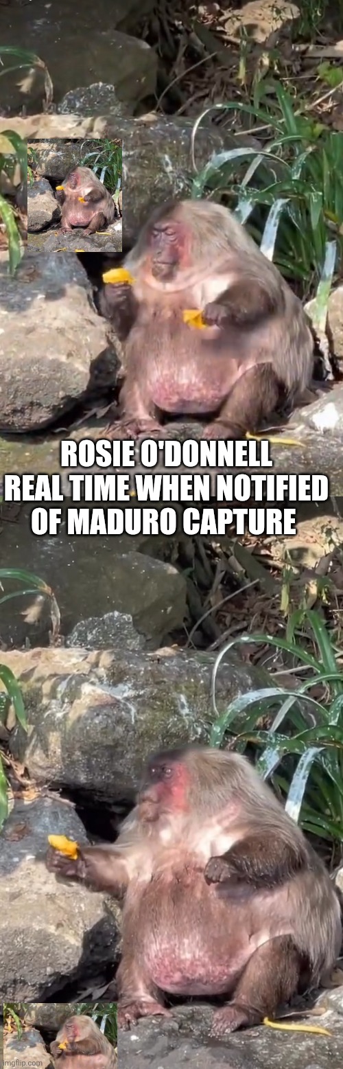 Rosie O'Donnell reaction to maduro parody | ROSIE O'DONNELL REAL TIME WHEN NOTIFIED OF MADURO CAPTURE | made w/ Imgflip meme maker