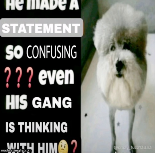 He made a statement so confusing | image tagged in he made a statement so confusing | made w/ Imgflip meme maker