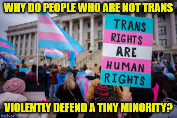 Violent virtue signaling | WHY DO PEOPLE WHO ARE NOT TRANS; VIOLENTLY DEFEND A TINY MINORITY? | image tagged in leftists | made w/ Imgflip meme maker