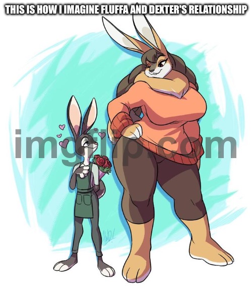 Bro someone furrified the "Tiny rabbit is obbssesed with giant girlfriend 4 times his size" | THIS IS HOW I IMAGINE FLUFFA AND DEXTER'S RELATIONSHIP | made w/ Imgflip meme maker