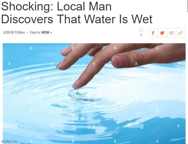new reaction image uploaded by me :) | image tagged in local man discovers water is wet,what | made w/ Imgflip meme maker