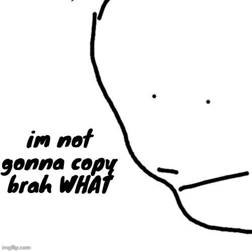 Sack of rice | im not gonna copy brah WHAT | image tagged in sack of rice | made w/ Imgflip meme maker