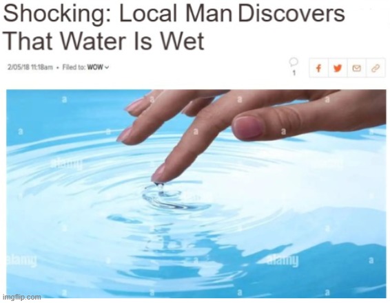 new reaction image uploaded by me :) (headline spacing fixed; thanks, quentin) | image tagged in local man discovers water is wet,what | made w/ Imgflip meme maker