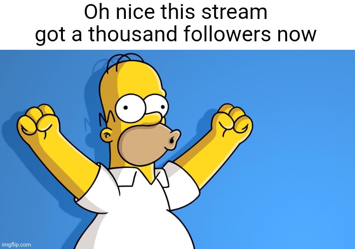 Thats awesome :) | Oh nice this stream got a thousand followers now | image tagged in homer simpson woo hoo,christian,memes,followers,1000,nice | made w/ Imgflip meme maker