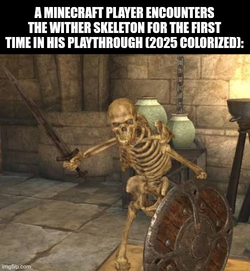 A MINECRAFT PLAYER ENCOUNTERS THE WITHER SKELETON FOR THE FIRST TIME IN HIS PLAYTHROUGH (2025 COLORIZED): | image tagged in memes,undead,shield | made w/ Imgflip meme maker